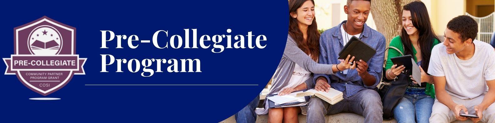 Pre-Collegiate Program banner